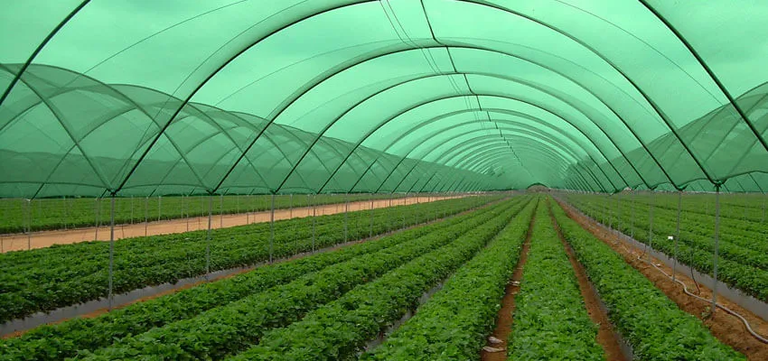 Selecting the Appropriate Shade Nets for Agricultural Purposes